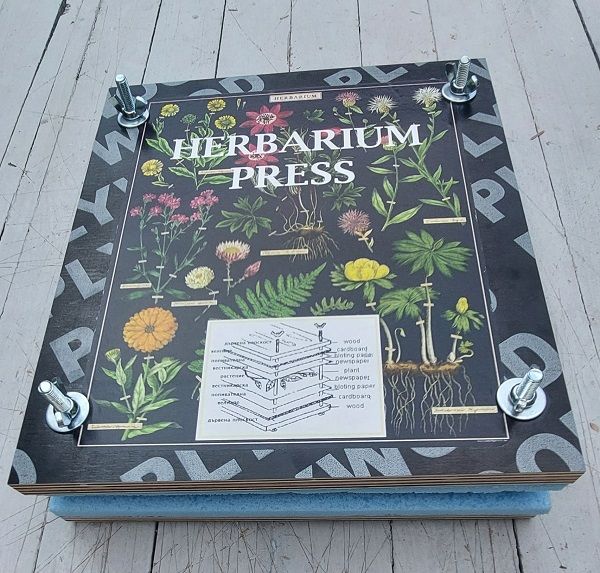 HERBARIUM PRESS XL  - Комплект преса за  хербарий XL 320 x 280