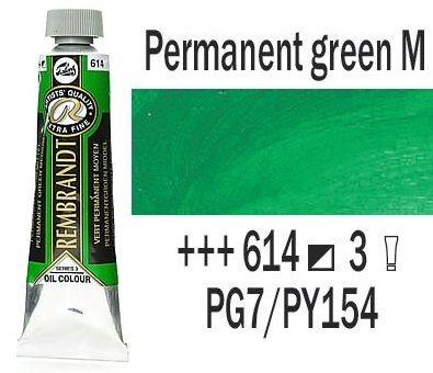 REMBRANDT Екстра Фини Маслени Бои 40 мл. - Permanent Green M 3, № 614